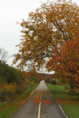 Passing Through Fall