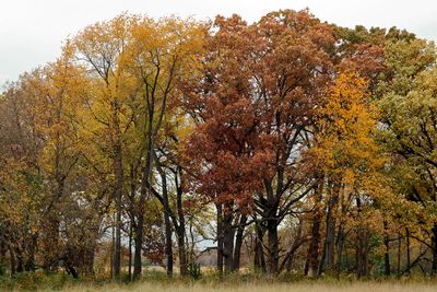 October Color