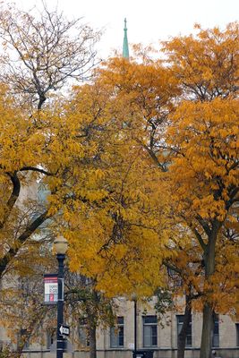 Fall Downtown