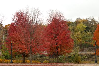 Red Twins
