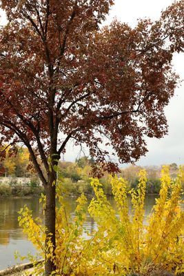 Fall Along the Fox