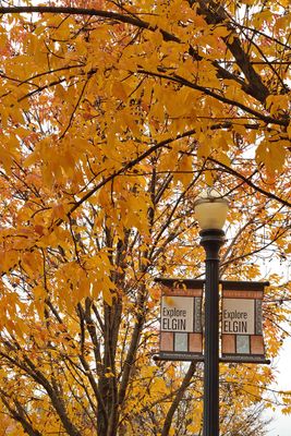 Elgin Autumn