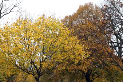 October Color
