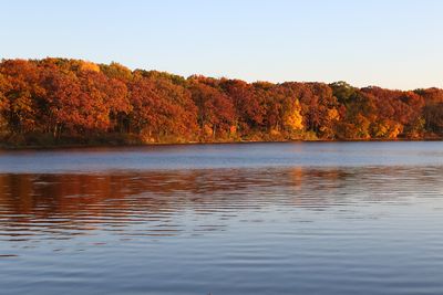Late Day Fall