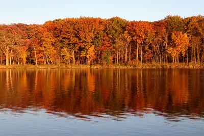 Fall Glow