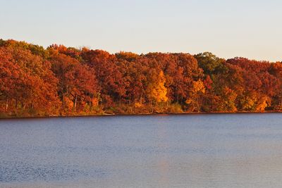 Fall Finale