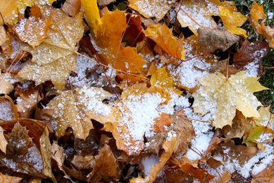 Fall Meets Winter