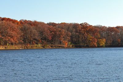 Fading Fall
