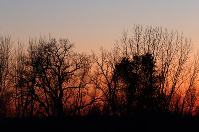 November Silhouettes 