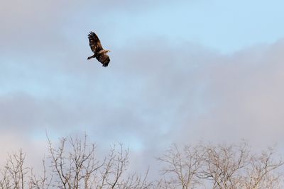 Fall Flight