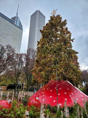 Chicago's Tree