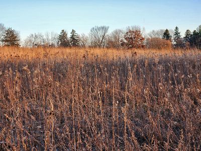 December Prairie