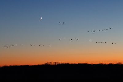 Flying with the Moon