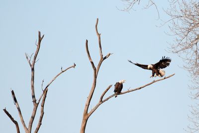 Looking to Land
