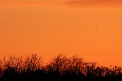 Flight at Last Light