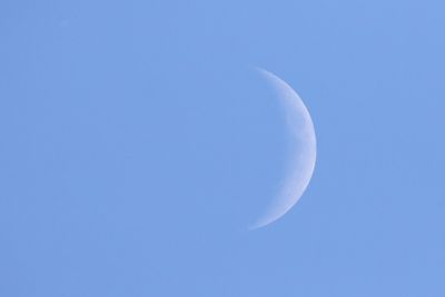 Daytime Moon