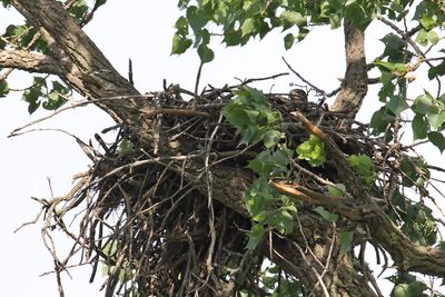 Temporary Housing