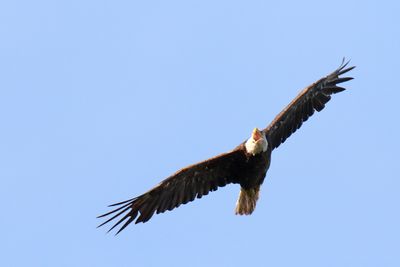 Checking the Wind