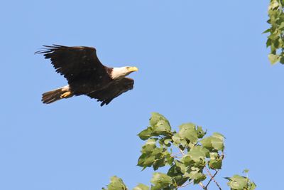 On Approach