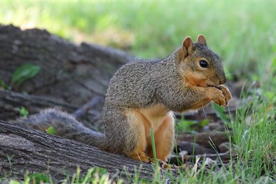 Snack Time