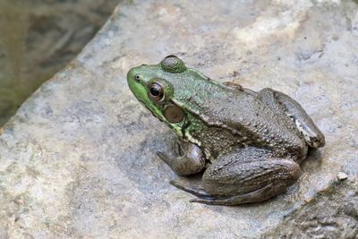 Sitting on a Stone