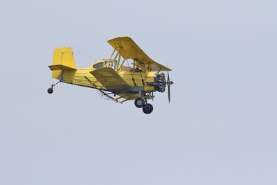 Bug Buster