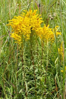 Signs of September