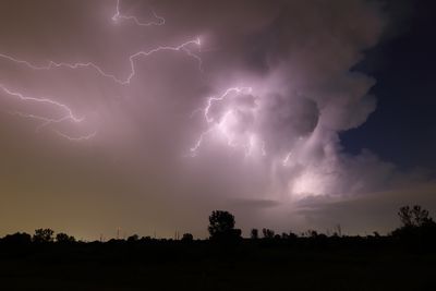 Light Show