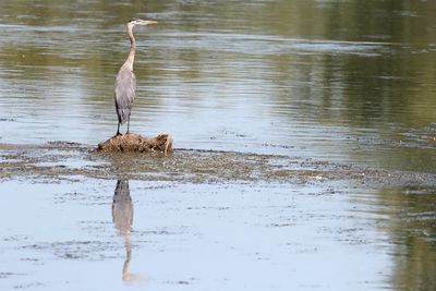 September Reflections