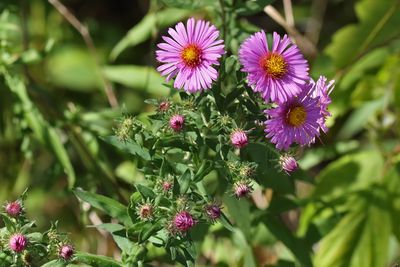 Signs of September