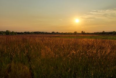 September on the Prairie