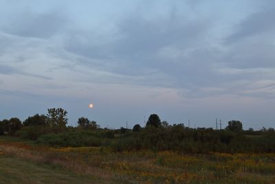 g13/90/147490/3/174887601.78d81581.JPEG