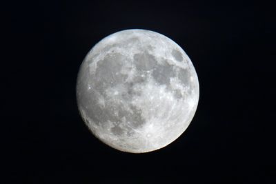 Celestial Neighbor