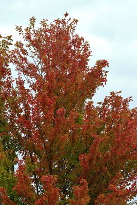 First Day of Fall