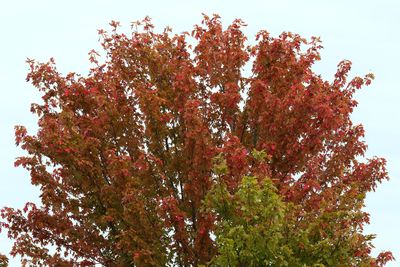 Changing Seasons