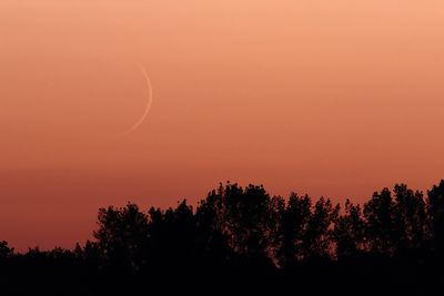 Twilight Moon