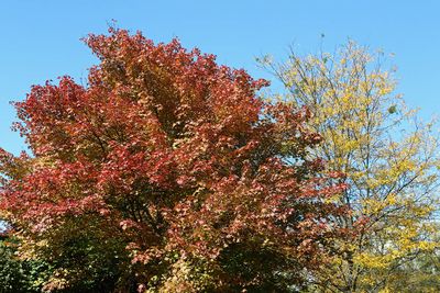 From Summer to Fall