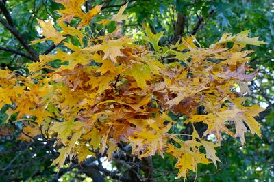 October Changeover