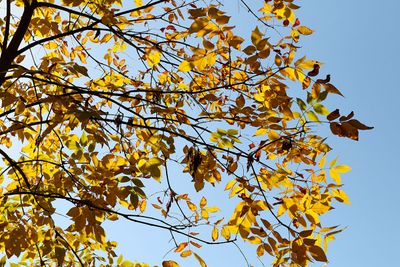 In October's Light