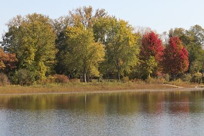 Autumn Shoreline