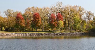 October Color