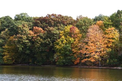 Fall Along the Fox