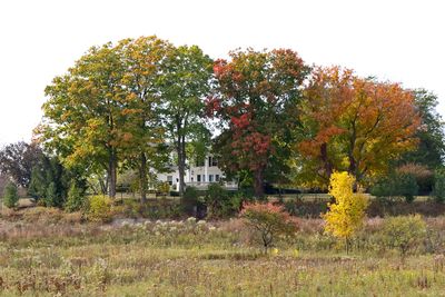 Fall on the Hill