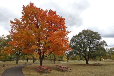 Two Seasons