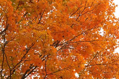 October Makeover
