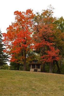 Fall on the Hill