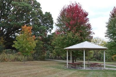 Fall in the Park