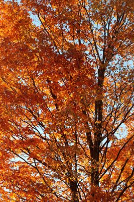 October Light