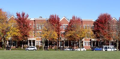 Fall on Souh Grove
