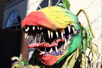 Little Street of Horrors
